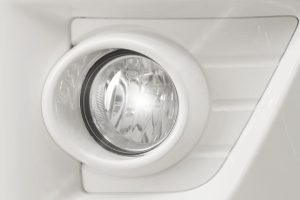 TERA100S Crop Froglight